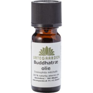Buddhatræ olie - 10 ml
